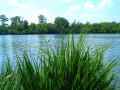 Etang du Gré