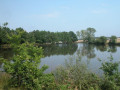Étang du Jard