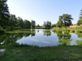 Étang du Maris
