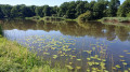 Etang du Milieu