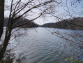 Étang du Moulin au Renard