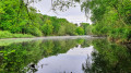 Étang du Moulin de Quip