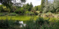 Etang du parc Montreau
