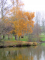 Etang du Vernay