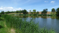 Etang  du vivier