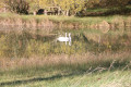 Etang en contrebas du Terrier des Roberts