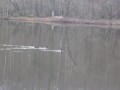 Etang entre 3 et 4