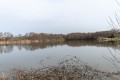 Le Bois de Chassagne Le Bois de Chassagne