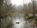 Etang Marie