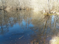 Étang miroir