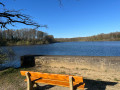 Etang Neuf
