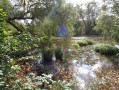 Etang Ouest depuis l’observatoire Ornis Etang Ouest depuis l’observatoire Ornis