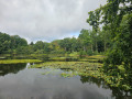 Etang Piley