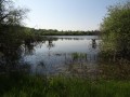 Etang près du château de la Grillère