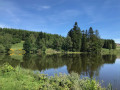 Etang principal