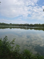 Etang Rebouton