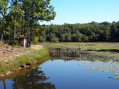 Etang Roux