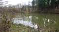 Etang Rue de Schwyr