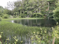 La vallée de la Kolvenderbach à partir Medendorf