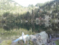 Etang tel un miroir naturel