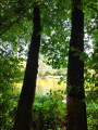 Etang