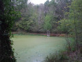Etang