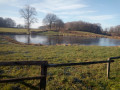 Etang