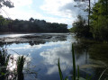 Etang