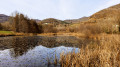 Etang