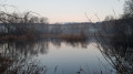 Etang
