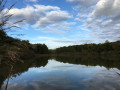 Étang
