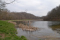 Etang