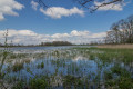 Etang