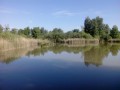 La Réserve Naturelle du Marais de Reuves