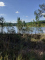 Étang