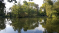 ETANG