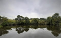 Etang