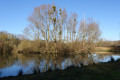 Etang