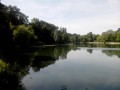 La Forêt de Fausses-Reposes et les Etangs de Ville-d'Avray