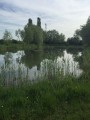 Etang Etang