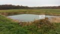 Etang