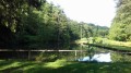 Etang