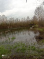 etang