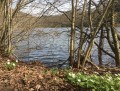 Etang