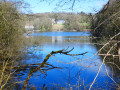 Balade brabançonne vers le Bois de Hal Balade brabançonne vers le Bois de Hal