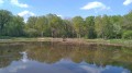 La Borne des Quatre Paroisses en boucle depuis Cerdon-du-Loiret