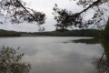 Étang
