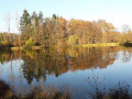 Etang