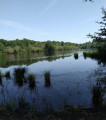 Pond