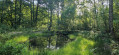 Olloy-sur-Viroin - Fumay
